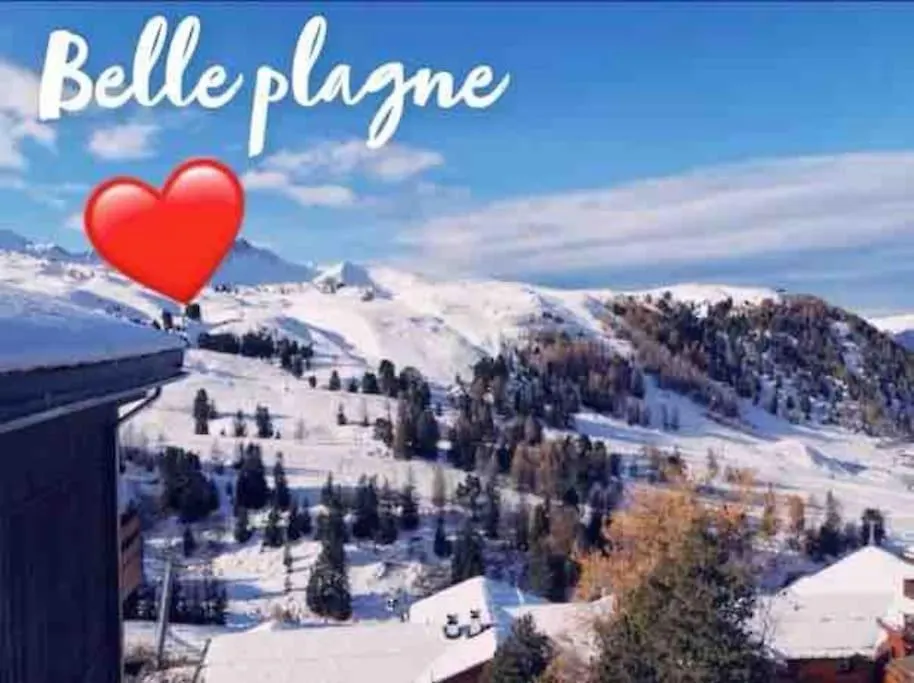 Appartement Belle Plagne Et Parking La Plagne