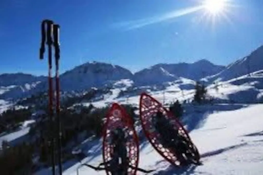 Appartement Belle Plagne Et Parking La Plagne Apartment